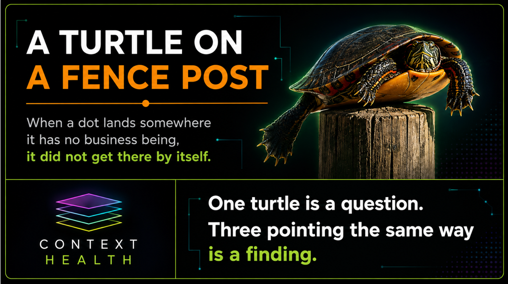 A turtle on a fence post did not get there by itself