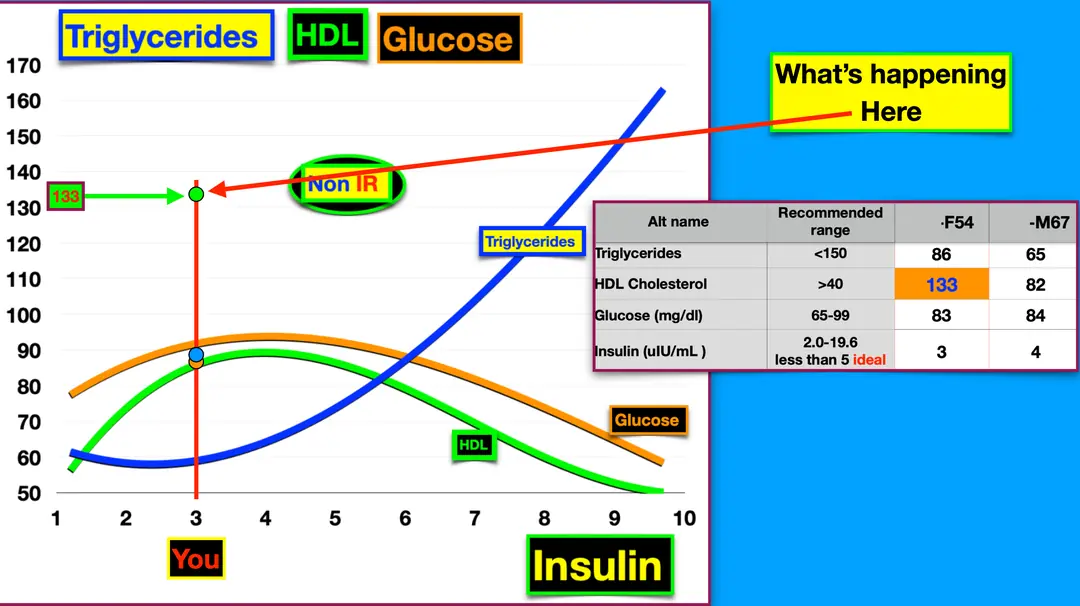 Triglycerides, HDL and glucose plotted against fasting insulin, with an individual marked on the curve