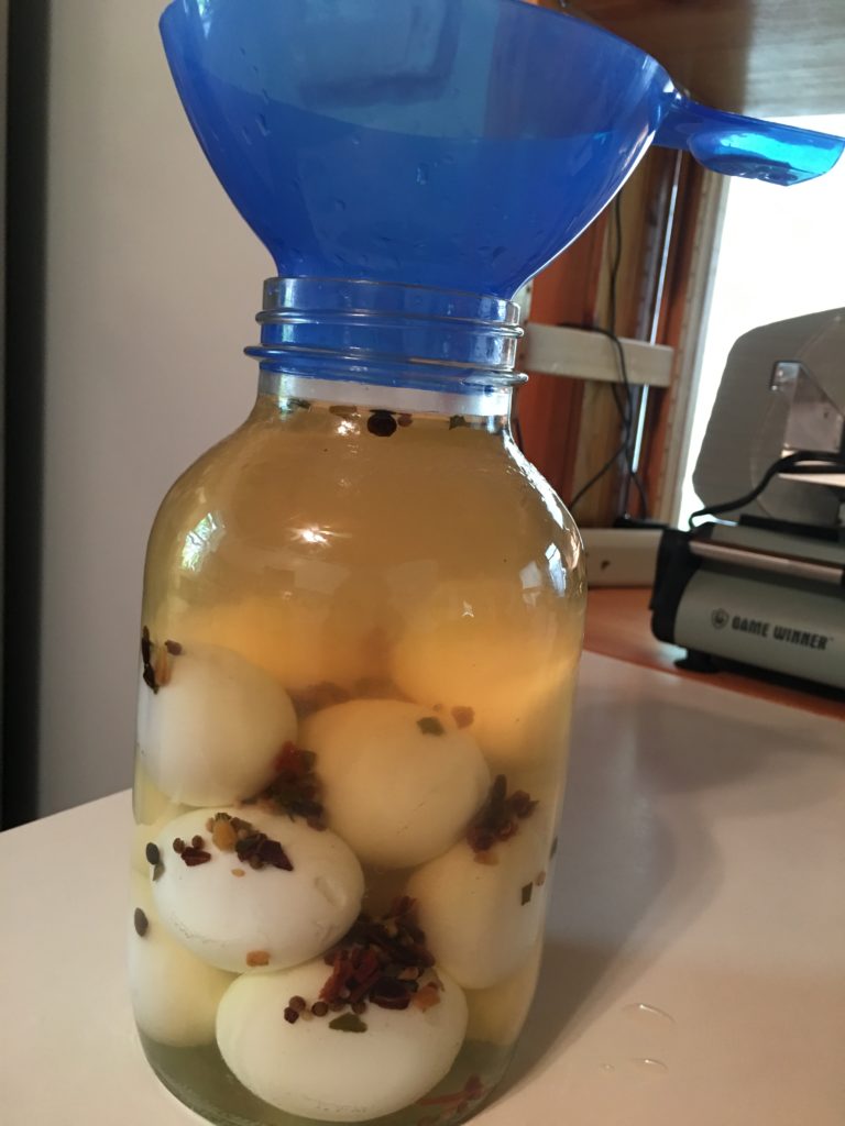 Pickled Hard Boiled Eggs « Keto Naturopath